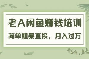 《老A闲鱼赚钱培训》简单粗暴直接，月入过万真正的闲鱼战术实课（51节课）