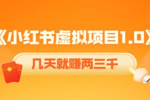 《小红书虚拟项目1.0》账号注册+养号+视频制作+引流+变现，几天就赚两三千