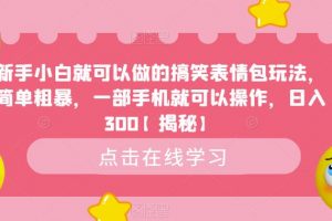 新手小白就可以做的搞笑表情包玩法，简单粗暴，一部手机就可以操作，日入300【揭秘】