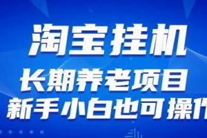 淘宝虚拟产品挂机项目（长期养老项目新手小白也可操作）【揭秘】【更新】