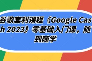 谷歌套利课程《Google Cash 2023》零基础入门课，随到随学