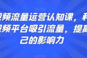 短视频流量运营认知课，利用短视频平台吸引流量，提高自己的影响力