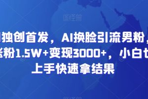 全网独创首发，AI换脸引流男粉，单日涨粉1.5W+变现3000+，小白也能上手快速拿结果【揭秘】