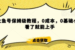 怎么样靠阿里大厂撸金，背靠大厂日入2000+，大鱼号保姆级教程，0成本，0基础小白看了就能上手【揭秘】