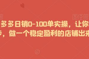 2024拼多多日销0-100单实操，让你迅速起步，做一个稳定盈利的店铺出来